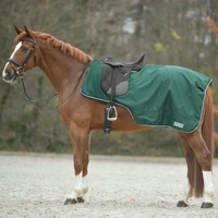 Waterproof Riding Rug - WLD, Size 145