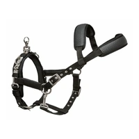 Lunging Cavesson with PVC Reinforcement - START