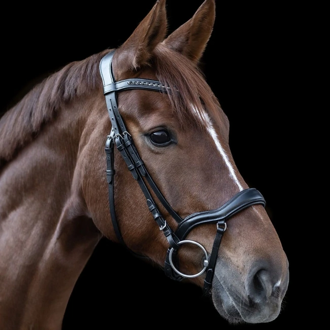 Leather Bridle with Combined Flash and Drop Noseband - X-Line New Shap
