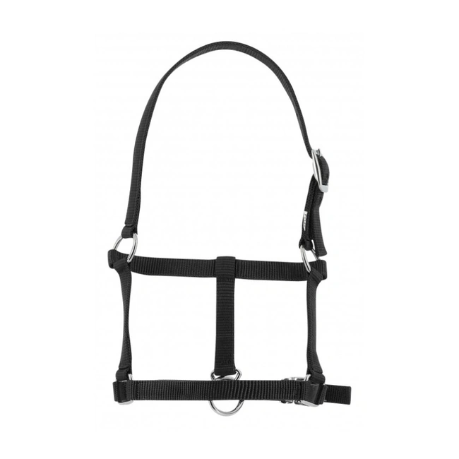 Halter for Newborn Foals - RIDING WORLD