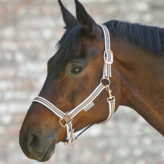 Padded Horse Headcollar, Fully Adjustable - SHINE