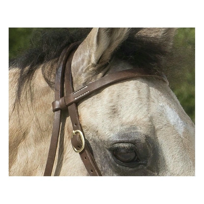 Уестърн юздечка WESTRIDE COLORADO от телешка кожа