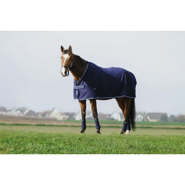 Horse Care Set, Halter, Lead Rope, Bandages and Horse Rug