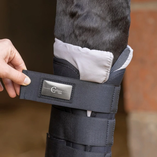 Thermal Horse Boots with Ceramic Particles - CovallieroTherm