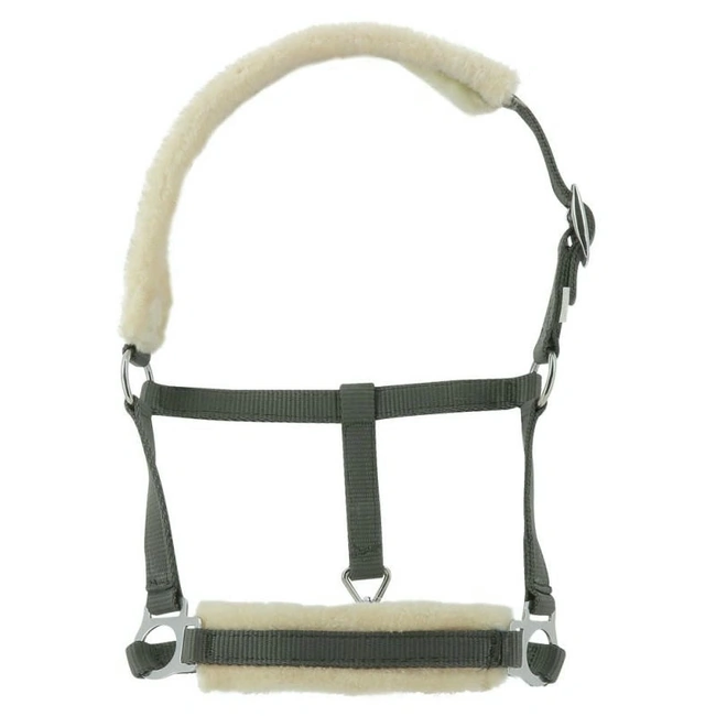 Padded Halter for Newborn Foals - DOUX, Size Foal