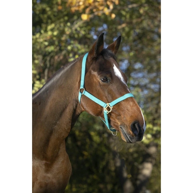 Оглавник / юлар за кон - THICK