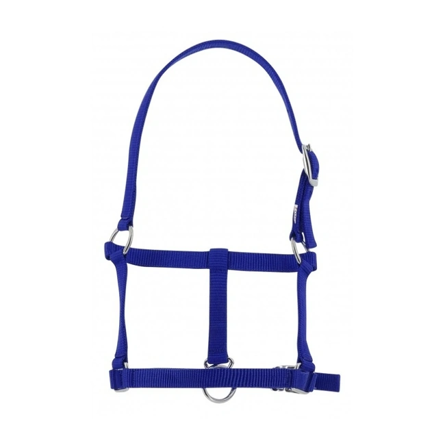 Halter for Newborn Foals - RIDING WORLD