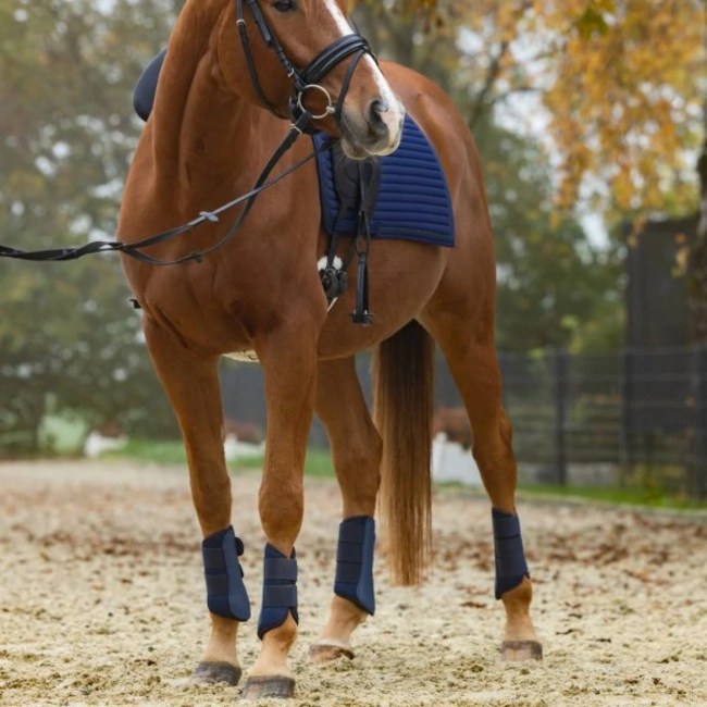 Horse Boots with Hook-and-Loop Fastening - Covalliero Avina