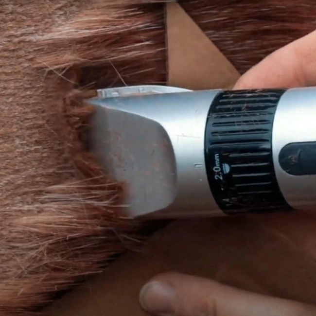 Хоби машинка за подстригване на коне - Mini Clipper