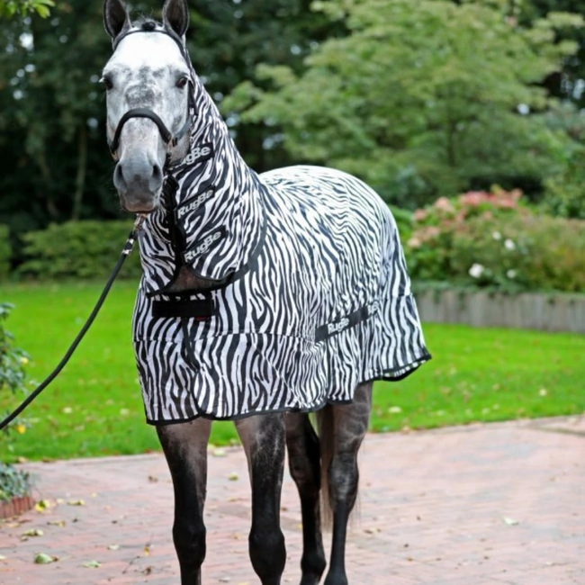Лятна попона за коне - Zebra