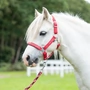Снимка 1 на Червен оглавник за пони My Lucky Pony със софтопренова подплата