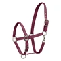 Снимка 4 на Padded Horse Headcollar with Matte Fittings - SATIN