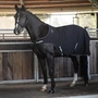 Image 3 of Horse Exercise Rug - RugBe Walking Two