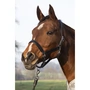 Снимка 2 на Leather Horse Headcollar with Soft Padding and Silver-Coloured Fittings - Standart