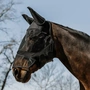 Image 1 of Horse Fly Mask with Nose and Ear Protection, UV 50 - DETAILS