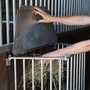 Снимка 6 на Ясла за хранене на коне - WallRack