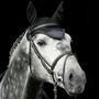 Image 4 of Fly Veil for Horses with Decorative Appliqué - KRB