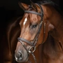 Снимка 4 на Leather Bridle with White Stitching and Reins - Class