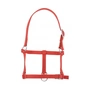 Снимка 1 на Halter for Newborn Foals - RIDING WORLD