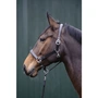 Снимка 3 на Leather Horse Headcollar with Soft Padding and Silver-Coloured Fittings - Standart