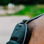 Снимка 2 на Протектор за опашка - Equitheme Tyrex 600D